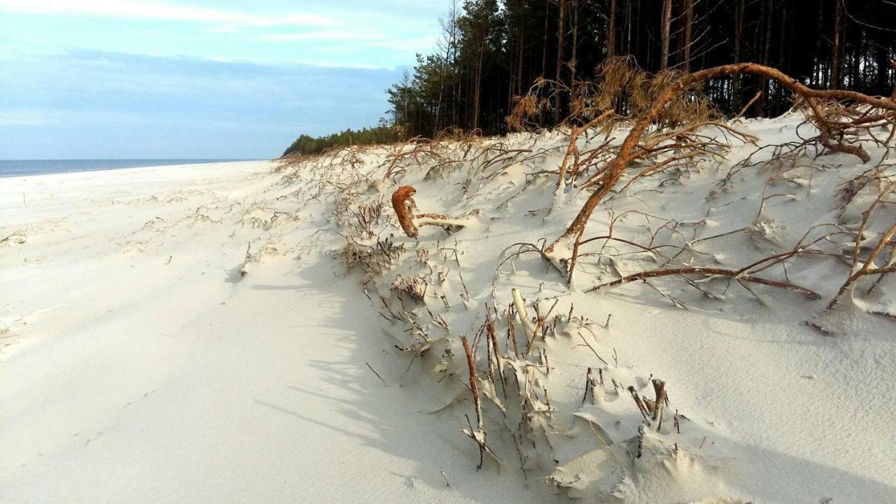 Marina Sasino - Komfortowe Domy Z Sauna I Kominkami Esterno foto